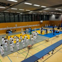 9. Juunigatsu Cup in Kleinmachnow